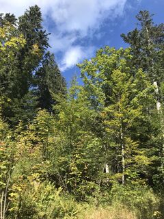 Fotografie de la Tine Harth de-a lungul turului