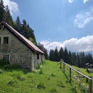 Ricovero Zouf di Fau