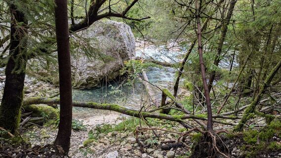 Foto de Ziegler Em1304 a lo largo del recorrido