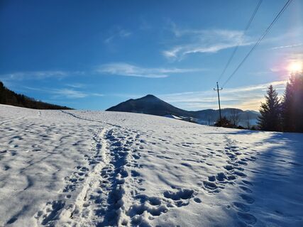 Photo de Petra Riegler le long du parcours