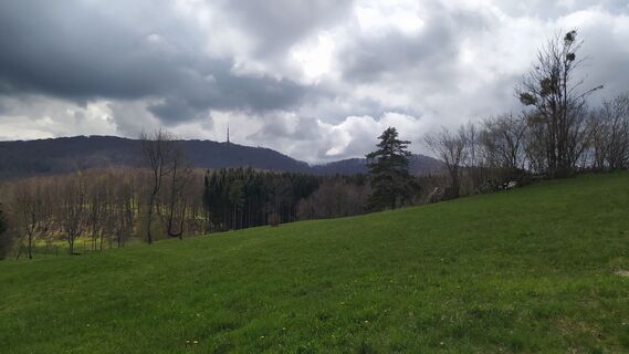 Foto von Ines Velicki entlang der Tour