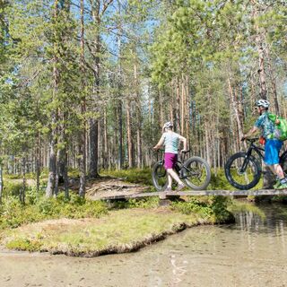 Radfahrer bei Muikkupuro entlang des Kokalmuksen-Kierros-Wegs im Hossa-Nationalpark