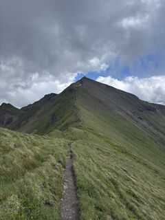 Foto von Tim Krebs entlang der Tour