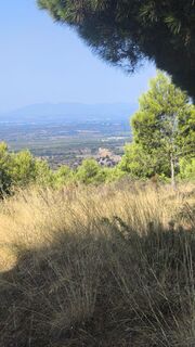 Fotografija s spletne strani CPQS na poti