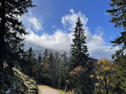 Foto von Jana M entlang der Tour