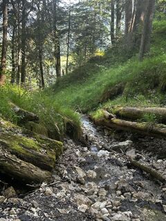 Foto de Katrin Rupprecht a lo largo del recorrido