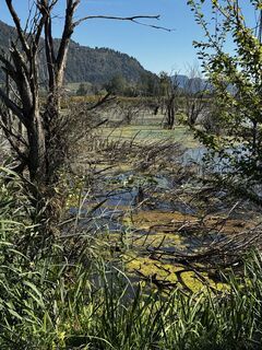 Fotografie de la Herfried Apoloner de-a lungul turului