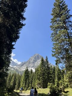 Ehrwald, Tirol/Österreich