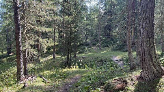 Foto von Pezzotta entlang der Tour