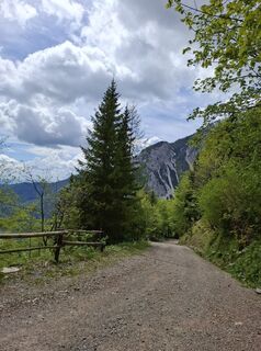 Foto von Miha Gros entlang der Tour