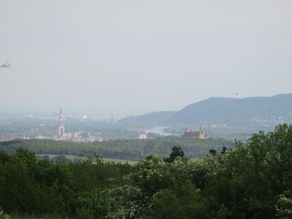 Blick vom Michelberg