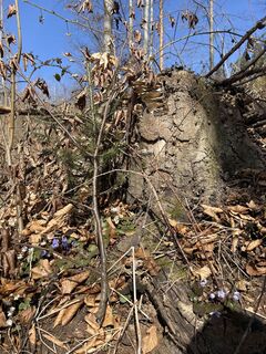 Fotografija s spletne strani kottlanj na poti
