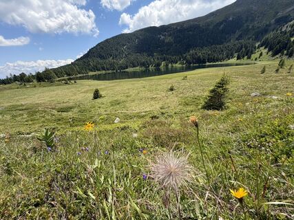 Foto de Gerti Glettler a lo largo del recorrido