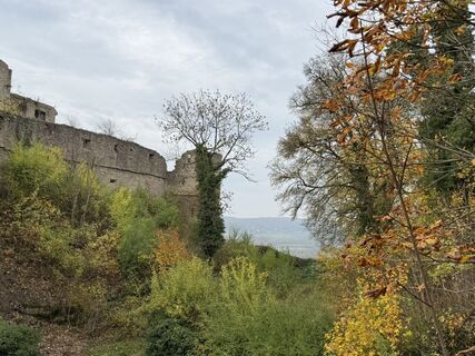 Fotografija s spletne strani Norbert Herbig na poti