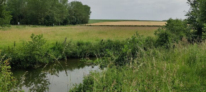Foto de Gie van den eeckhaut a lo largo del recorrido