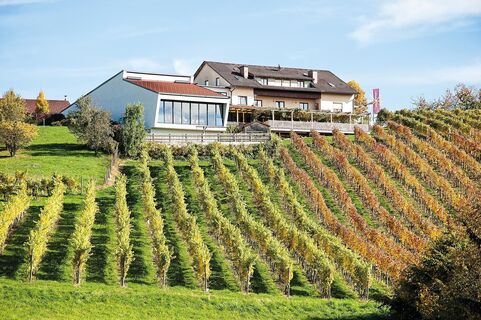 Weinerlebnis Martin Wippel Riegersburg