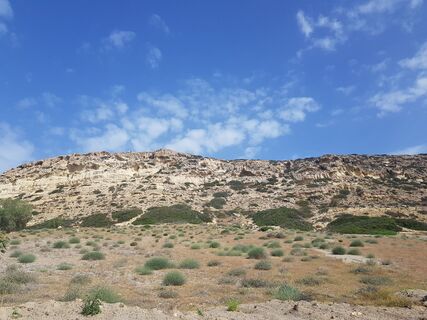 Fotografija s spletne strani Wheelyfried na poti