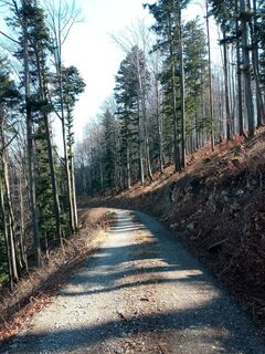 Fotografija s spletne strani Lisa Pimminger 1 na poti