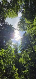 Foto von Silke Vonderlehr entlang der Tour