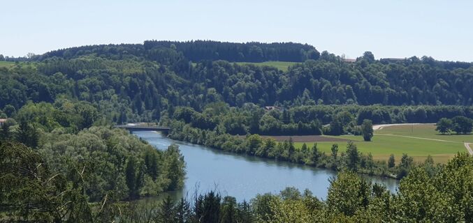 Fotografia z garrincha na trase