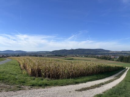 Photo de Andreas le long du parcours