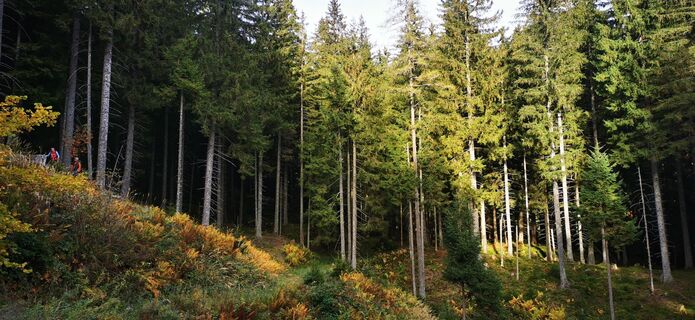 Kuva osoitteesta Klaus Lehner matkan varrella