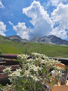 Fotografia z Christian Lerchster na trase