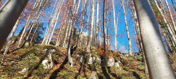 Fotografija s spletne strani Kurt Mauracher na poti