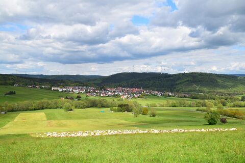 Schafherde vor Eschenstruth
