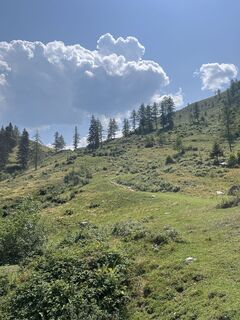 Foto von Melanie Fritzlar entlang der Tour