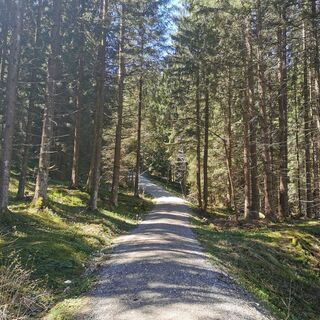 Weg zur Rohrkopfhütte