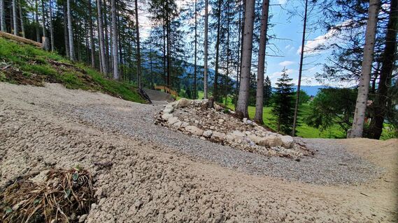 Mühlwaldtrails