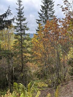 Fotografia z FriluftslivGoat na trase