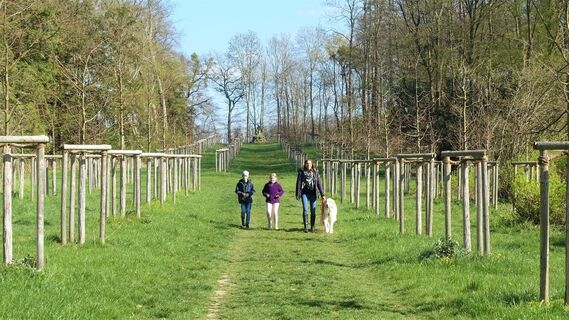 Auf dem Weg zum Schneckenberg