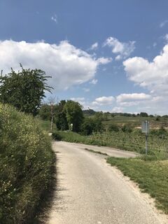 Fotografia z Maxspeed na trase