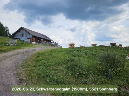 Photo de Alex Derast le long du parcours