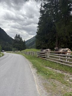 Photo de Daniel S le long du parcours