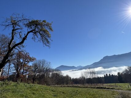 Zdjęcie z Denise Miller wzdłuż trasy