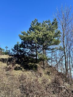 Fotografie z Kellner Heidi na trase