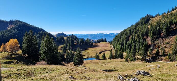Fotografia z Bernie Haberl na trase