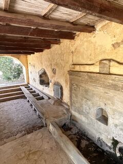 Photo de Micha le long du parcours