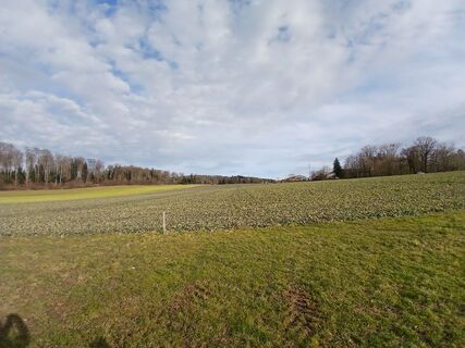 Fotografie z Daniel Jäggi na trase