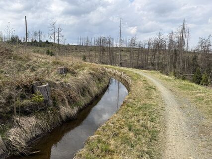 Zdjęcie z Norbert Herbig wzdłuż trasy