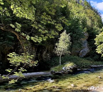 Photo de zirberl le long du parcours