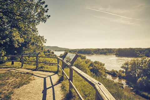 Donaublick bei der Ruine Röthelstein