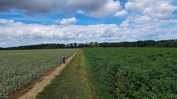 Foto de Martijn Stutvoet a lo largo del recorrido