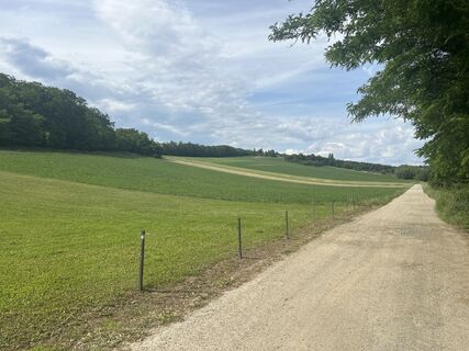 Fotografija s spletne strani Mihály Szabó na poti