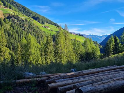 Foto von walkno entlang der Tour