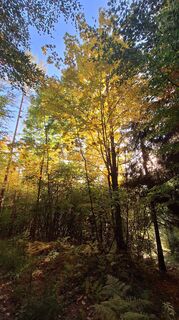 Fotografia z Regina Fleischmann na trase