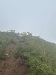 Fotografia z MAHO na trase